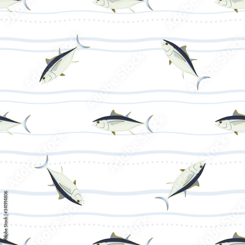 Tuna. Commercial Fish species. Colored Vector