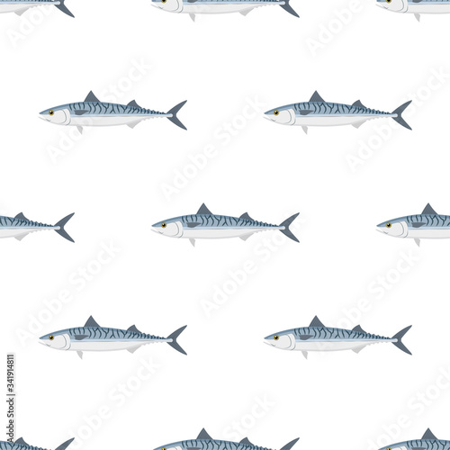 Mackerel. Commercial Fish species.