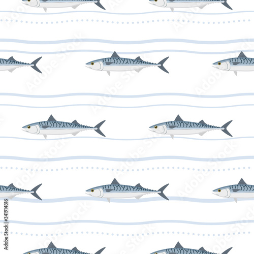 Mackerel. Commercial Fish species.