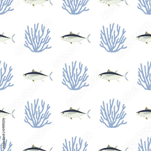 Tuna. Commercial Fish species. Colored Vector