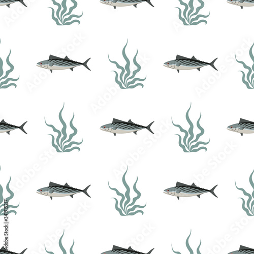 Bonito. Fish. Colored Vector Patterns.