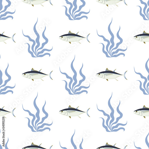 Tuna. Commercial Fish species. Colored Vector