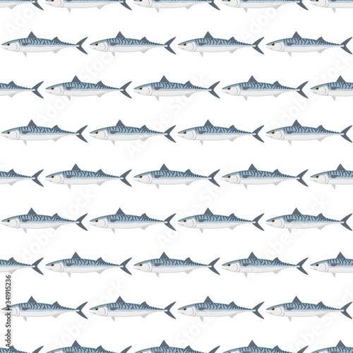 Mackerel. Commercial Fish species.