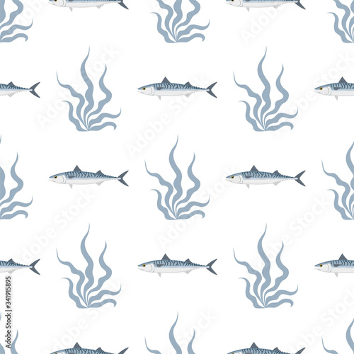 Mackerel. Commercial Fish species.