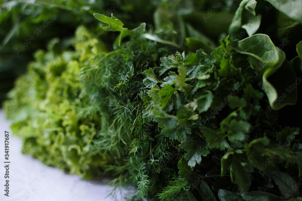 Closeup of fresh herbs. Parsley, dill, spinach, salad, mint, another greens Closeup of fresh herbs. Parsley, dill, spinach, salad, mint, another greens