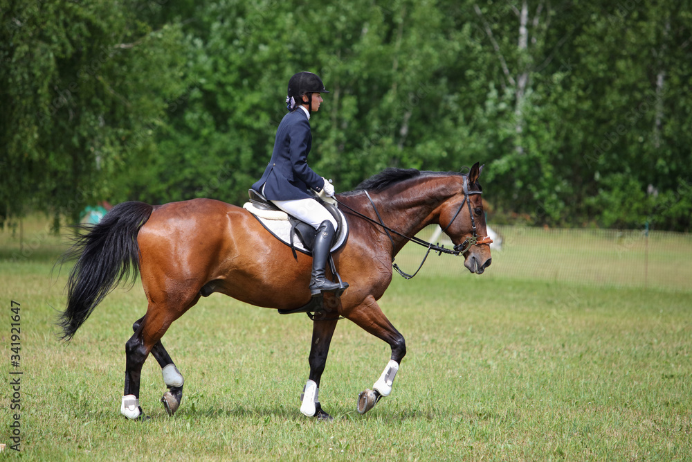 Young equestrian sports girl jumping obstacle with bay horse Young equestrian sports girl jumping obstacle with bay horse