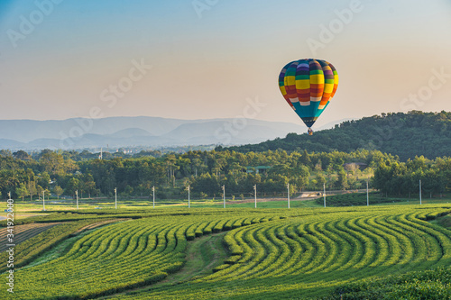 Photos Balloons flying air over the Singha Park, International Balloon Festival in Chai
