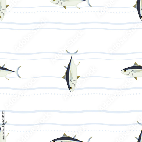 Tuna. Commercial Fish species. Colored Vector