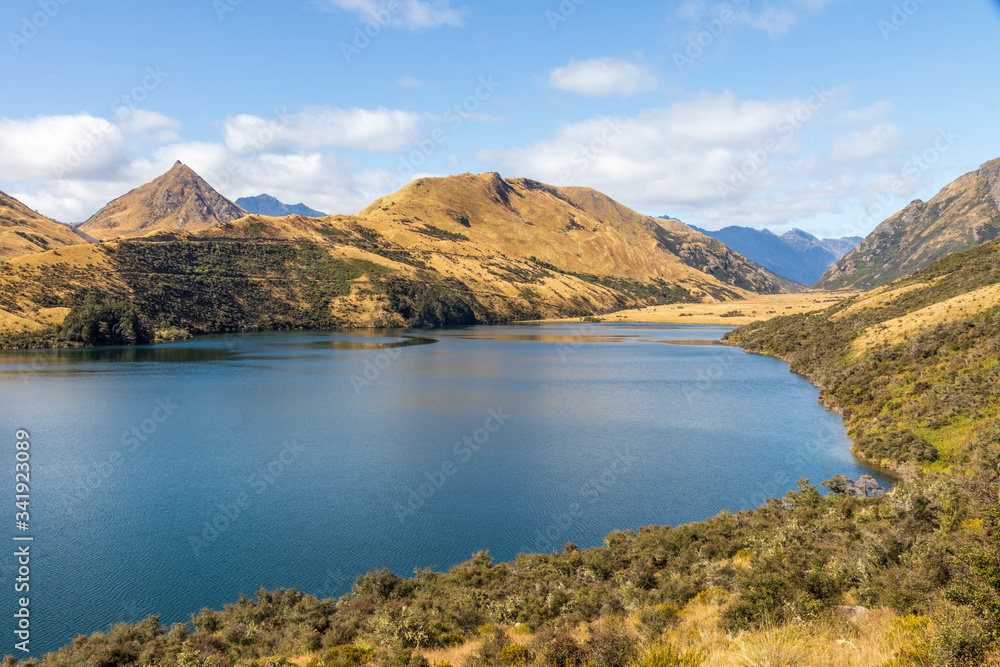 Landscape at Lake Moke in New Zealand