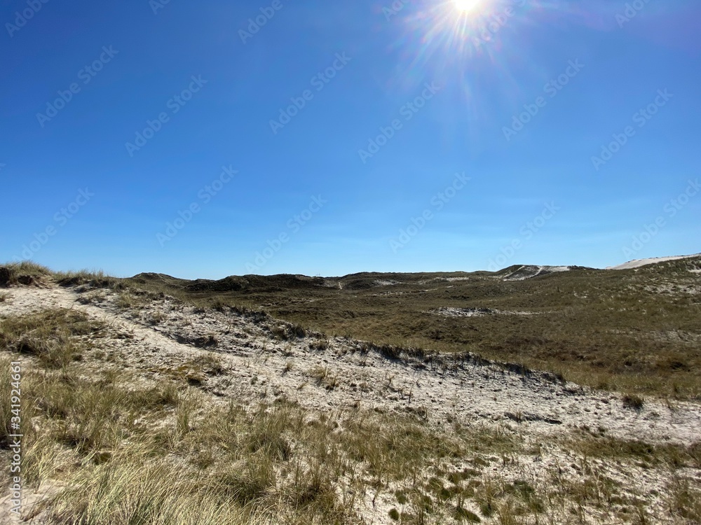 dune landscape with blue sky