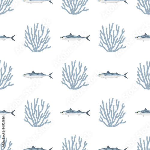 Mackerel. Commercial Fish species.
