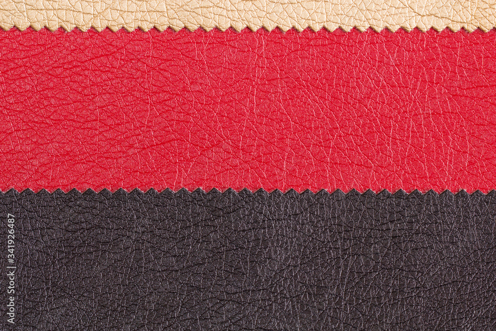 Fototapeta premium Leather for the manufacture of furniture and various products in the form of a frame and a place for inscription, text and font. Different skin samples. Materials for the leather industry. Flat Lay.