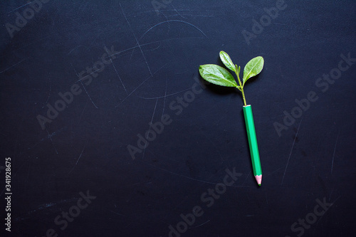 Creative idea. Grass. Branches of green leaves grow out of pencil on a textural dark background. Top view with copy space. photo