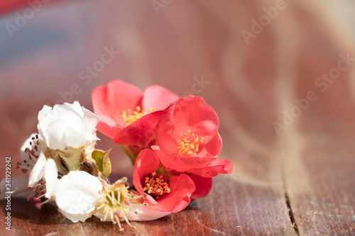 Spring flowering in a mug on a wooden background. Beautiful floral background. Blossoming. © Yuliia