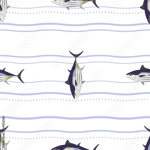 Tuna. Skipjack Tuna. Commercial Fish species.