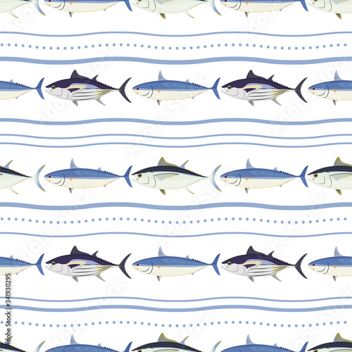 Tuna, Skipjack Tuna, Mackerel Tuna
