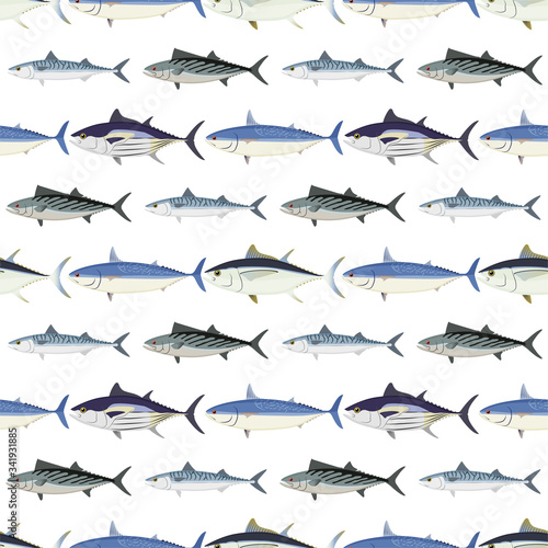 Fish. Commercial Fish species. Colored Vector 