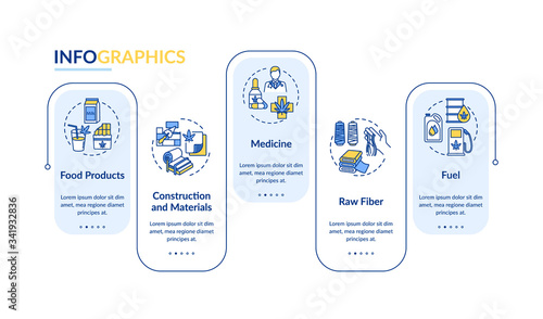 Hemp products vector infographic template