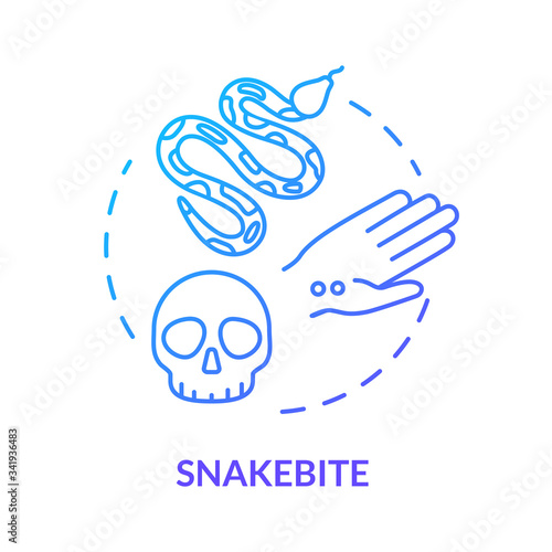 Snakebite, wound concept icon