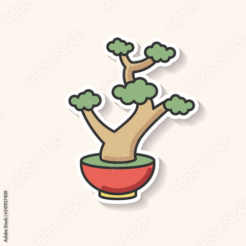 Bonsai patch. Tiny cultivated potted tree