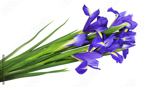 Bouquet of blue iris flowers