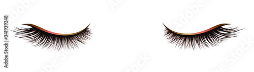 Women's beautiful long thick eyelashes with eyeliner. Eyelash extensions. Makeup. Mascara. Beauty saloon. Vector 3d realistic illustration isolated on white background.