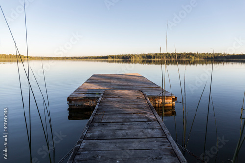 wooden jetty in a calm lake that looks like a mirror, in the background trees are reflected, next to the jetty reeds grow