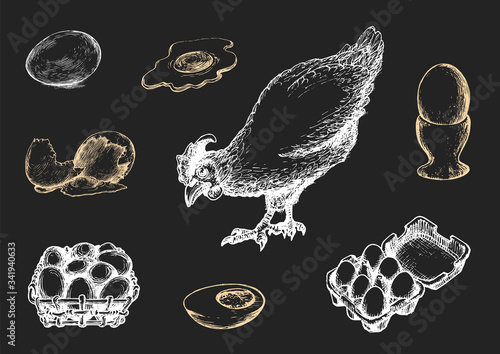 Graphic illustrations of poultry farm goods in vector. Hand drawn set of hennery production in engraving style.