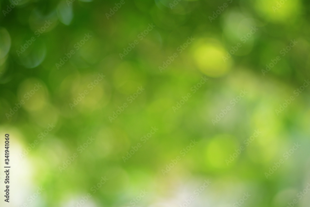 Spring Nature Bokeh Background Beautiful Blurred Green Leaves is a green bokeh that blurs the focus of leaves from the trees