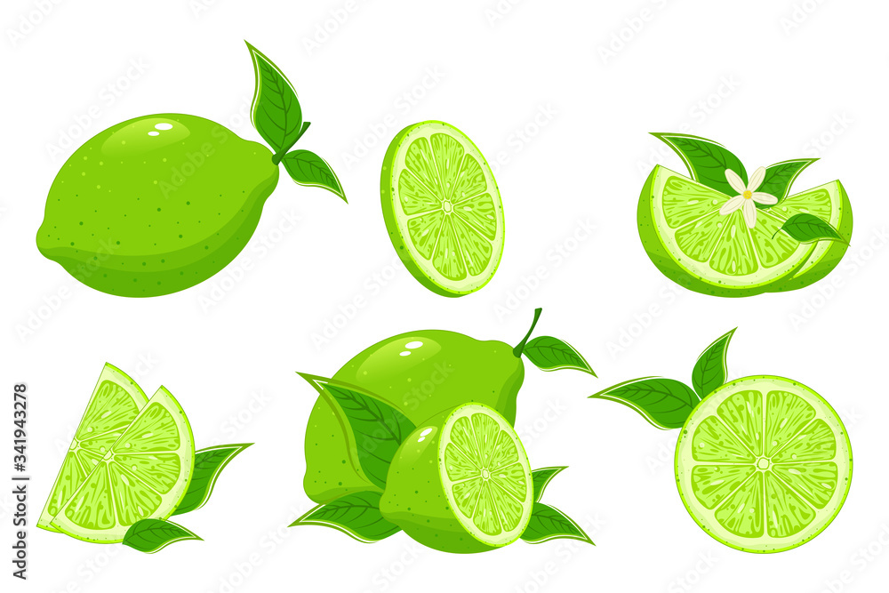 Cartoon lime. Colorful whole, half and slice lime with green leaf. Set of fresh lime. 