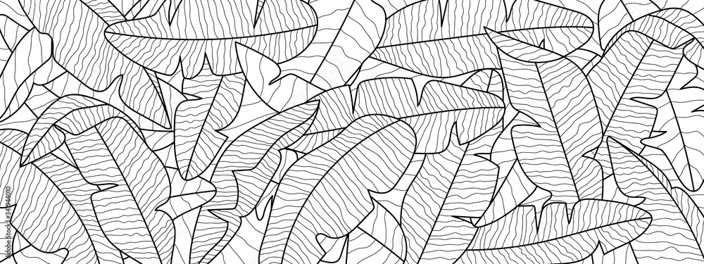 Fototapeta Tropical banana leaf background, Luxury nature pattern design, banana leaf line arts wallpaper, Hand drawn outline design for fabric , print, cover, banner and invitation, Vector illustration.