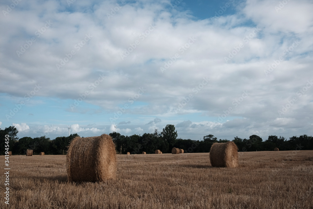 Panoramic view hay rolls in a French filed. 