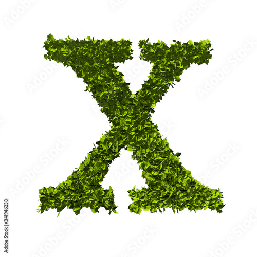 Letter X nature leaf alphabet. 3D Rendering