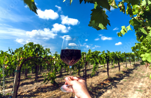 Photography White clouds over wineglass in hand of farmer