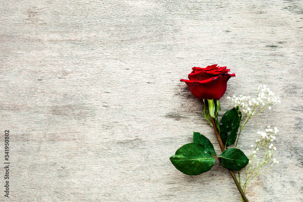 Valentine day composition of a red rose lying on a floor. Studio shot on a wooden background. Valentine day composition of a red rose lying on a floor. Studio shot on a wooden background.