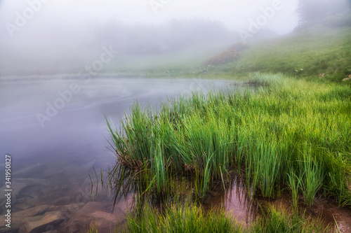 The shore of the lake with coastal grass is hidden in dense fog