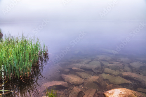 The shore of the lake with coastal grass is hidden in dense fog