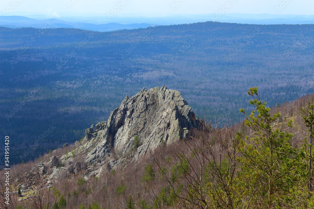 Fototapeta premium mountain cliffs rise above the forest