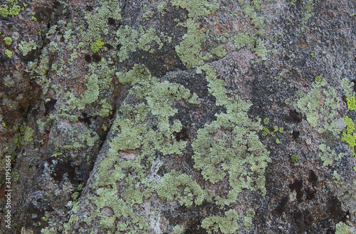 mountain stone texture with moss