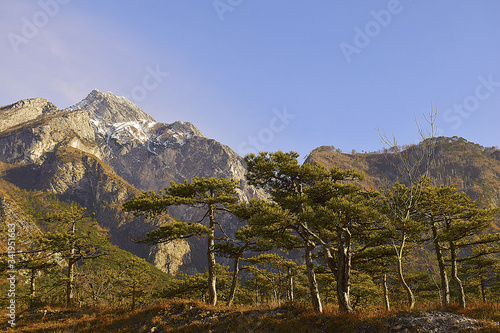 panoraman of mountains and trees in Italy photo