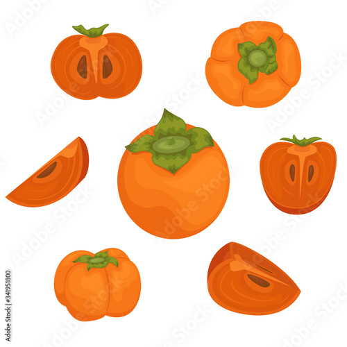 The set of 7 ripe persimmons. Persimmon whole and pieces. Vector illustration of fruits.