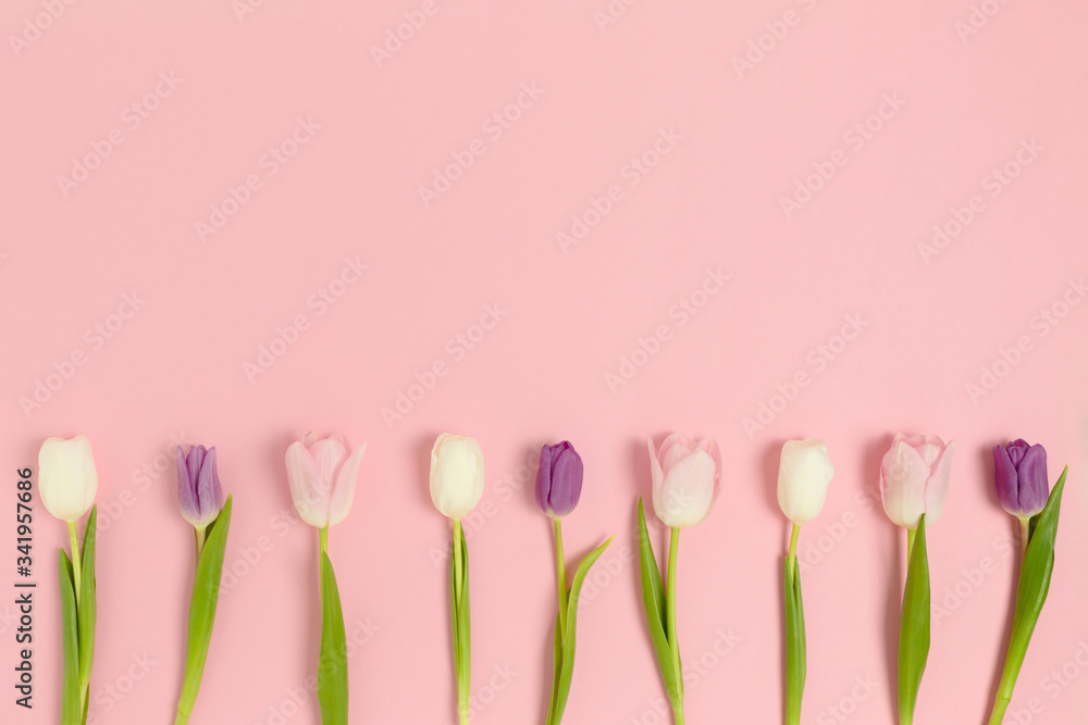 Frame made of tulip flowers on a pink pastel background. Floral spring layout with copy space.