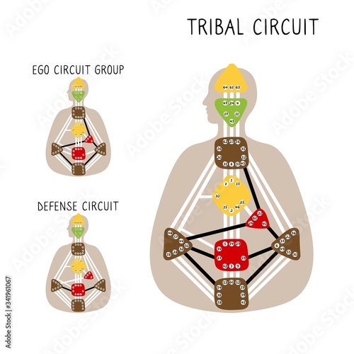 Tribal Circuitry. Human Design BodyGraph. Hand drawn bodygraph chart design. photo