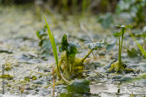 Natur Münsterland Outdoor