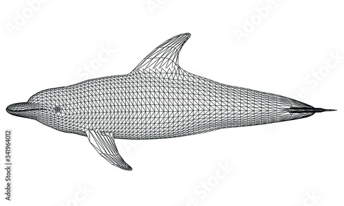 Dolphin polygonal lines illustration. Abstract vector dolphin on the white background