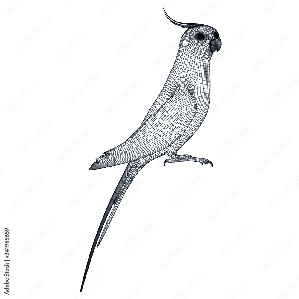 Fototapeta premium Australian Cockatiel parrot polygonal lines illustration. Abstract vector parrot on the white background