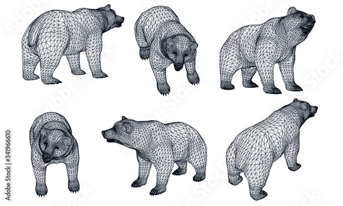 Bear polygonal lines illustration. Abstract vector bear on the white background