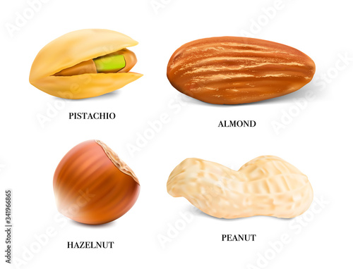 Realistic nuts. Vector illustration isolated on white background. Peanuts, pistachio, almonds, peanuts. Ready to use on any surface. EPS10.	