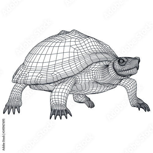 Turtle polygonal lines illustration. Abstract vector turtle on the white background