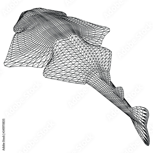angel shark polygonal lines illustration. Abstract vector angel shark on the white background